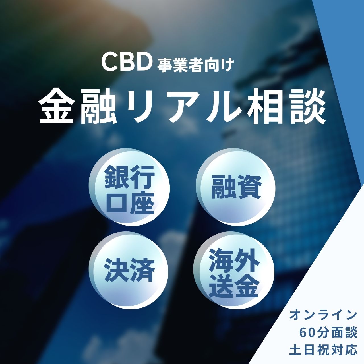 Real-life consultations on bank accounts, loans, payments, and overseas remittances for CBD businesses - 60 minutes