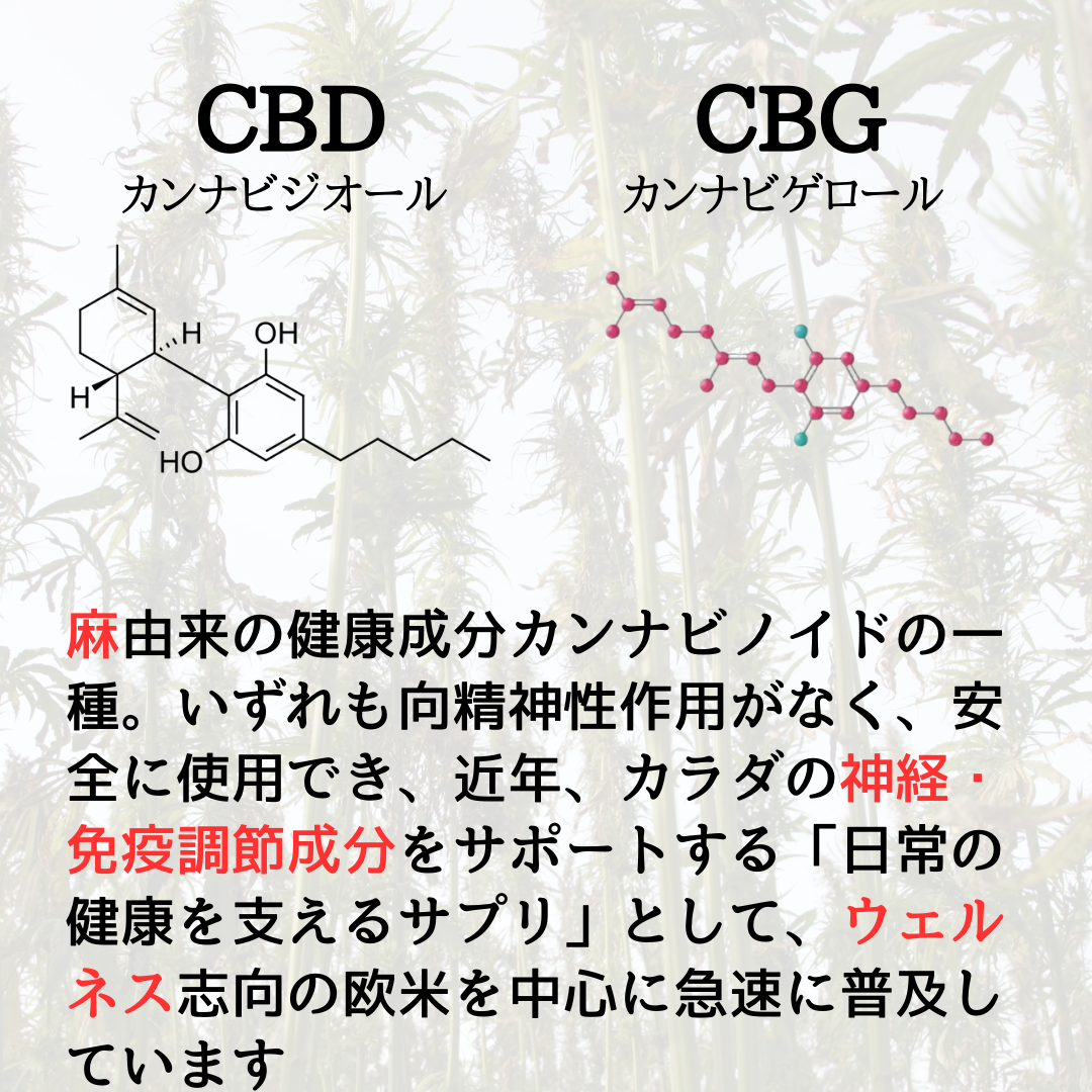 賞味期限10月 リッチ&ライトCBDセット:CBDオイル + CBGタブレット - CBD Library(CBDライブラリー)
