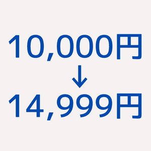 価格が10,000円〜14,999円