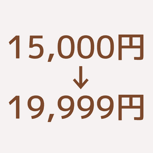 価格が15,000円〜19,999円
