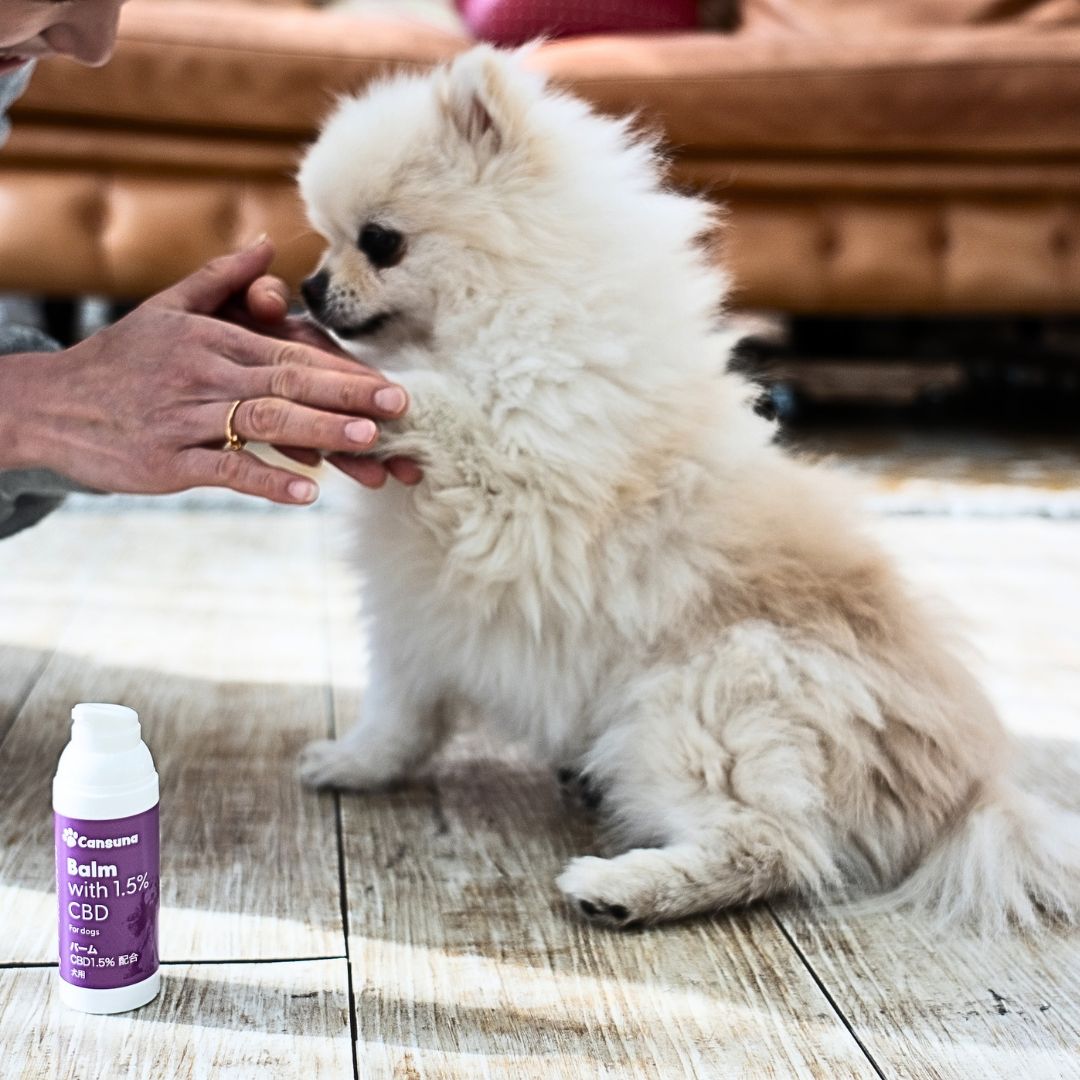 ［ペット用CBDバーム］CBD750mg/50ml｜犬・猫の日常ケアに - Cansuna