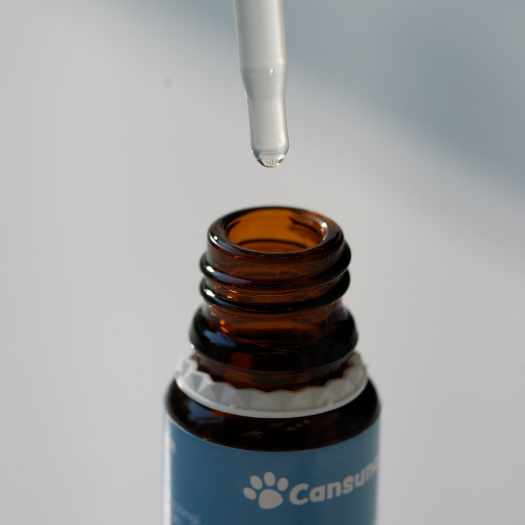 [CBD Oil for Cats] 300mg CBD/10ml | Swiss-Made, Veterinarian-Developed - Cansuna