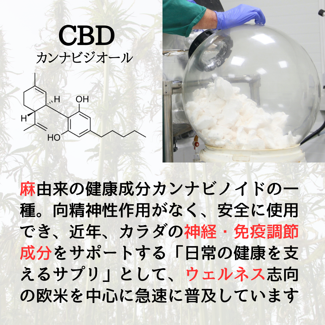 [Potent CBD Oil] 4000mg/40% CBD | For a Restored Morning