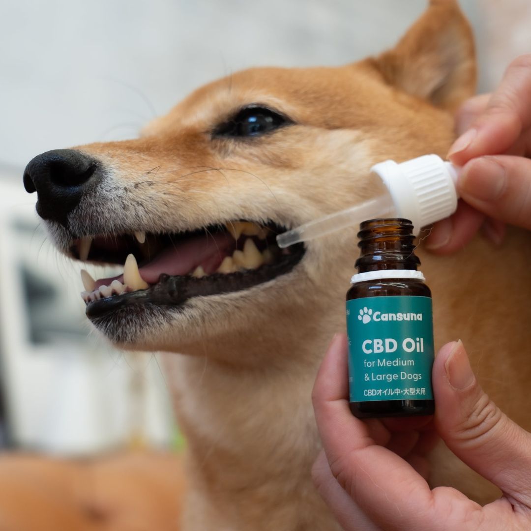 [CBD Oil for Small Dogs] 300mg CBD/10ml | Swiss Made, Vet-Supervised Development - Cansuna