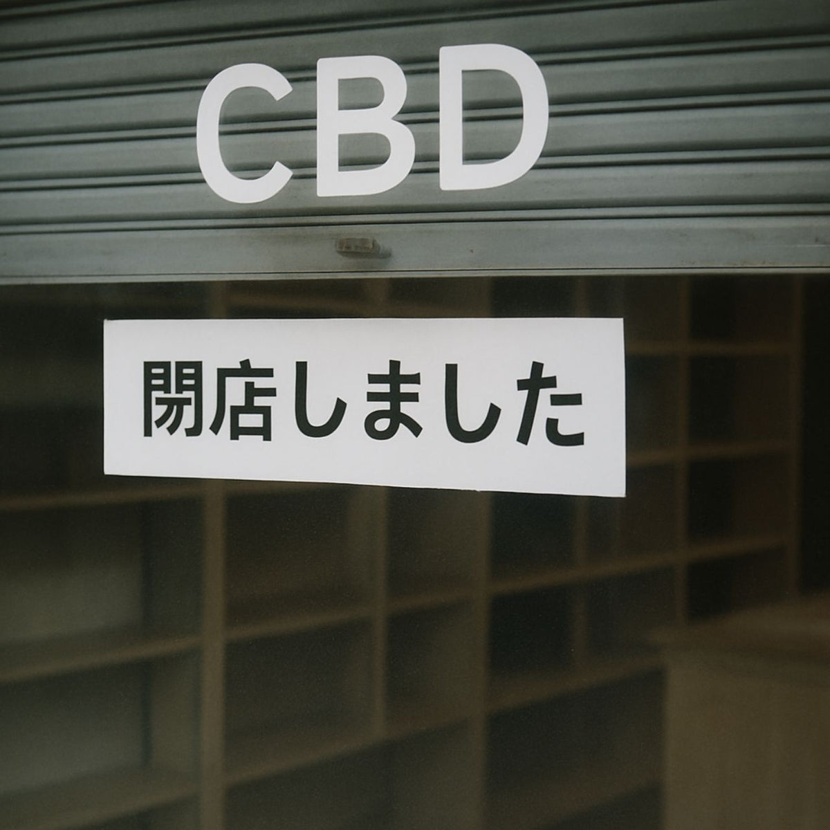 ［CBD白書2025］75年ぶりの法改正後のCBD市場を検証する全107ページ、国内最大級の業界レポート