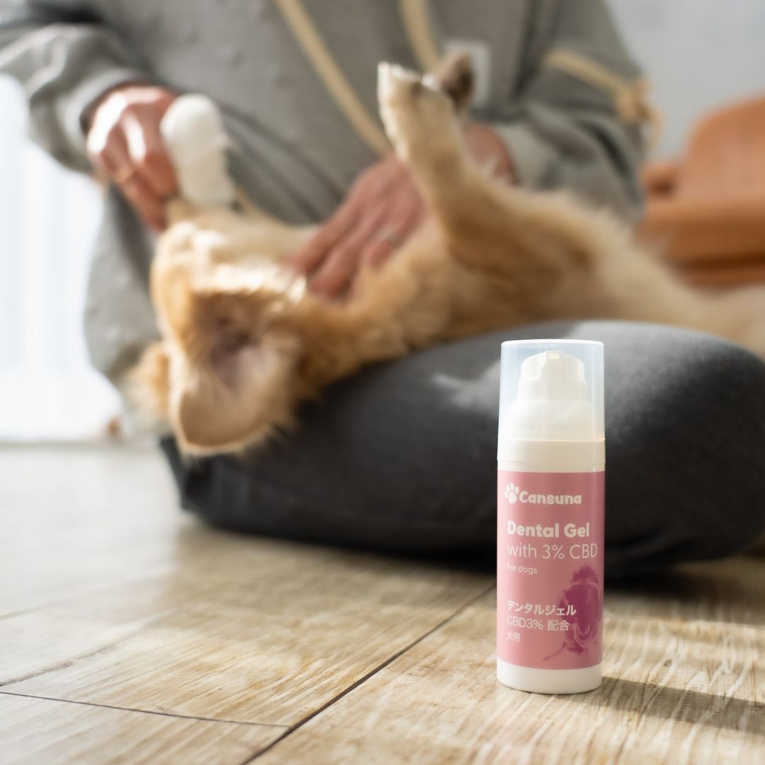 [CBD Dental Gel for Pets] 1,500mg CBD/50ml | Swiss-made, Veterinarian-supervised Development - Cansuna