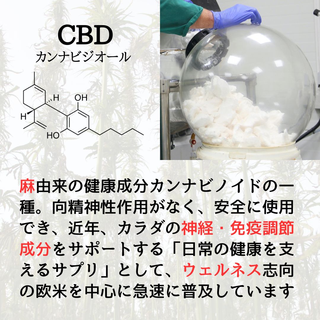 ［CBDガム］CBD100mg/12個 - EUPHORIA（ユーフォリア）