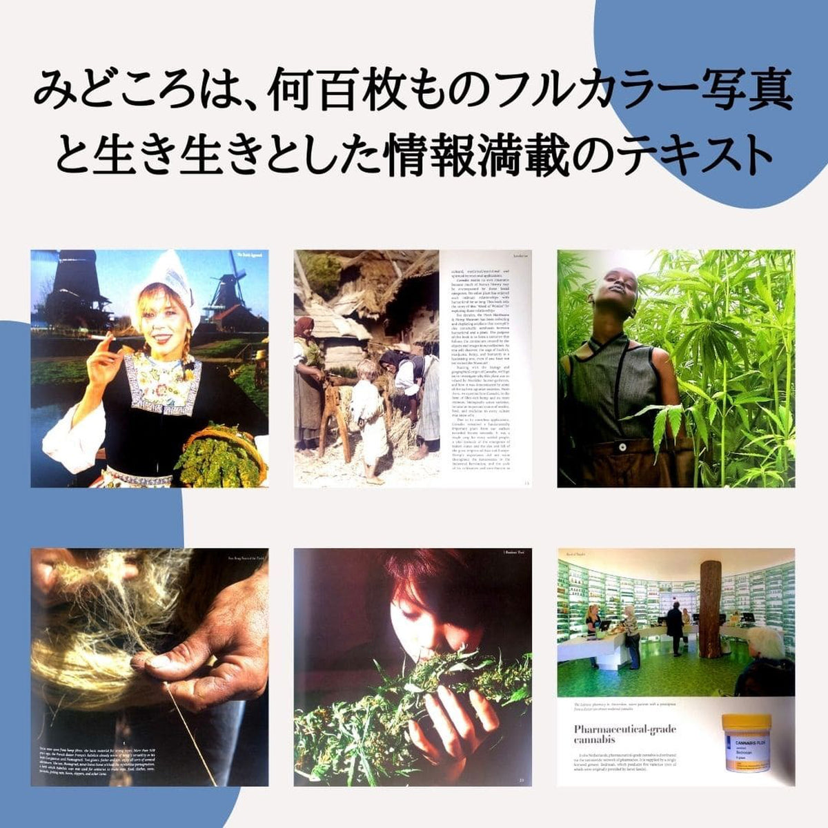 ［Weed of Wonder］ハッシュマリファナ＆ヘンプ博物館 - CBD Library