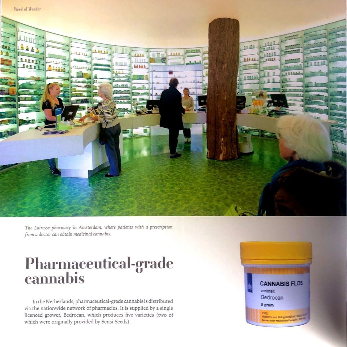 ［Weed of Wonder］ハッシュマリファナ＆ヘンプ博物館 - CBD Library