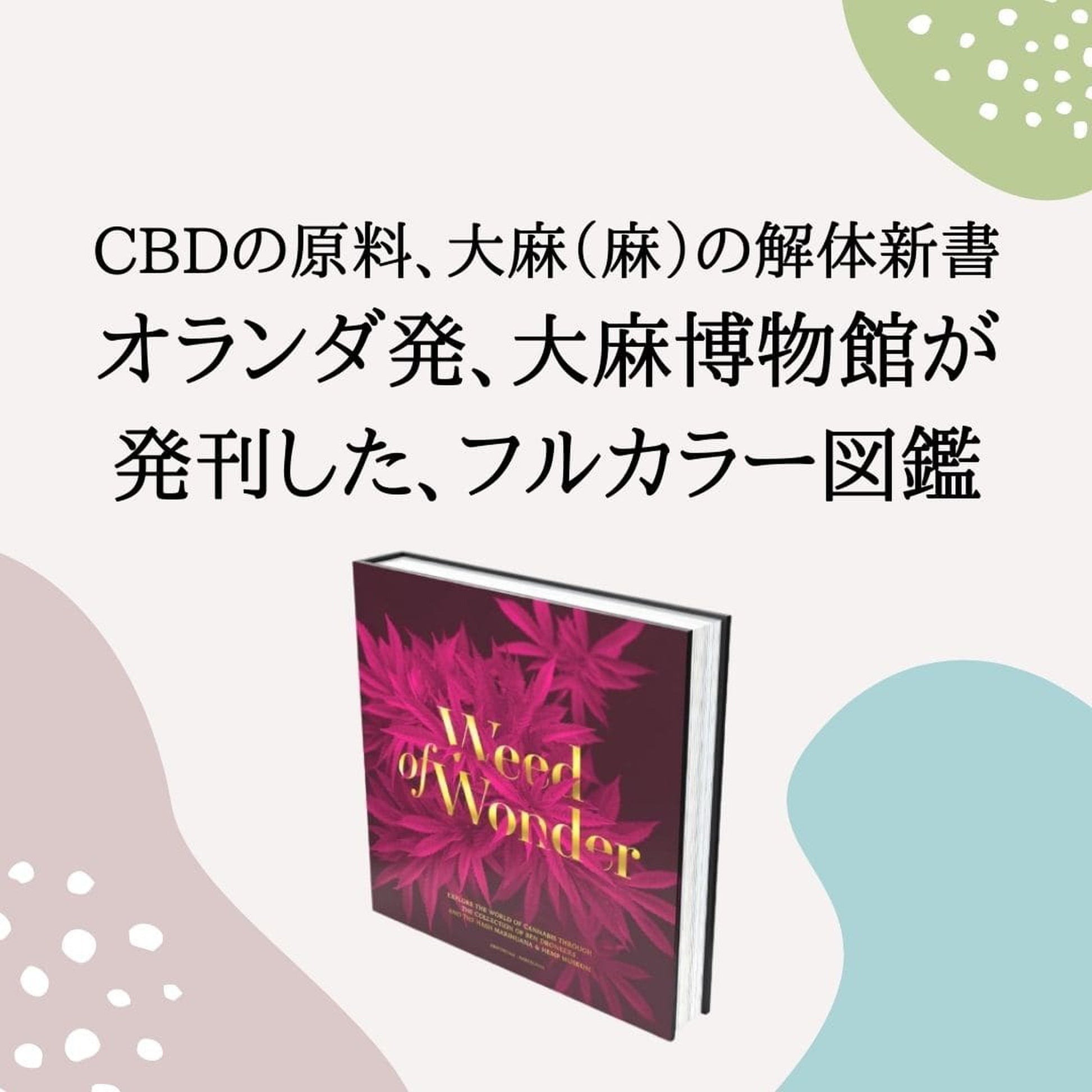 ［Weed of Wonder］ハッシュマリファナ＆ヘンプ博物館 - CBD Library